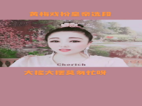 包含黃梅戲扮皇帝全集的詞條