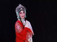 戲曲五福臨門全場(戲曲五福臨門全場視頻)