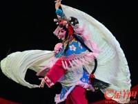 廣東戲劇有哪些(廣東地方戲劇有哪些)