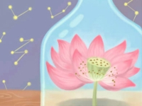 豫劇包公十三鍘全集(豫劇包公鍘包免全場(chǎng)戲)