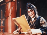 豫劇演員胡小鳳(豫劇演員胡小鳳個(gè)人資料)