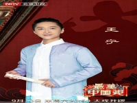王寧京劇演員(京劇演員王寧視頻)