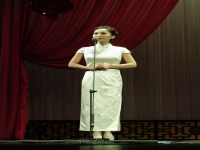 豫劇女司鼓演奏視頻(豫劇司鼓演奏視頻石振虎)