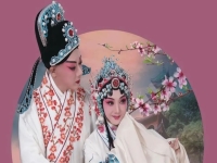 河南省曲劇團演唱的曲劇(河南省曲劇團演唱的曲劇選段)