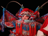 穆桂英掛帥是京劇嗎(穆桂英掛帥屬于什么戲種)