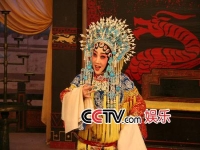 魏連升河北梆子(河北梆子演員魏爽)