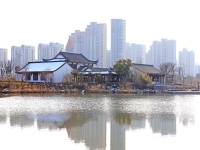 鹽城淮劇文化(鹽城淮劇文化論文)