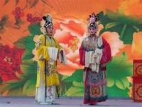 秦腔花燭淚劇情介紹(秦腔花燭淚劇情介紹全集)