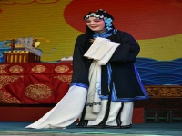 晉劇孫紅麗交印全本(晉劇孫紅麗4000歲)
