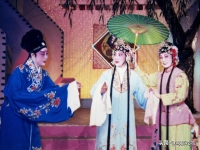 諸城茂腔戲曲大全(諸城茂腔戲曲大全姐妹易嫁)