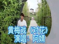 黃梅戲對花男女對唱(黃梅戲10大經典唱段對花)