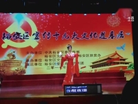 廬劇李立存專輯(皖西廬劇團李立存演唱)