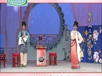 越劇王老虎搶親畢春芳戚雅仙(越劇王老虎搶親畢春芳戚雅仙全集唱腔)