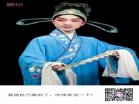 人面桃花戲曲(人面桃花戲曲秦腔)
