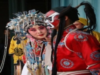 秦腔斬秦英全本視頻(秦腔斬秦英全本視頻王雪琴)