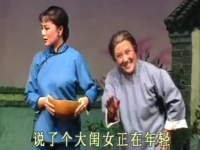 呂劇李二嫂改嫁全集播放(呂劇李二嫂改嫁全場免費觀看)