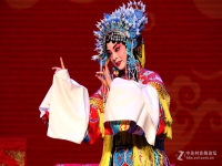 京劇貴妃醉酒李維康演唱(李維康演唱的京劇貴妃醉酒)