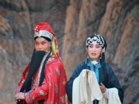 秦腔趙芳簡介(秦腔趙芳簡介百度百科)