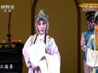 淮劇趙五娘劇情簡介(淮劇趙五娘劇情簡介分集)