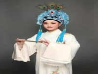 越劇嚴(yán)蘭貞1至8集(越劇嚴(yán)蘭貞全集第七集)
