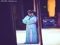 貍貓換太子京劇唱詞(貍貓換太子京劇唱詞高潮)