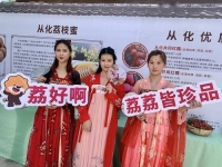 嶺南戲曲頻道直播荔枝網(嶺南戲曲頻道直播荔枝網有無高清)
