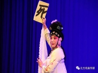 河南豫劇巡按斬子全場(河南豫劇巡按斬子全場演出)