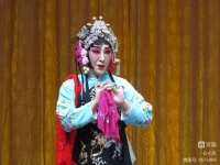 衡水市河北梆子劇團主要演員(衡水市河北梆子劇團主要演員有哪些)