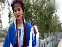 黃梅戲全劇全集免費播放(黃梅戲大全100集視頻完整版)