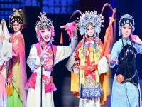 上海小梅花越劇魏金飛(上海小梅花越劇團小生是誰)
