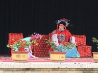 秦腔花亭相會劇情介紹(秦腔花亭相會劇情介紹大全)