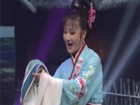 黃梅戲朱婷婷(婷婷安徽黃梅戲)