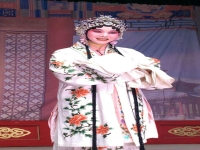 豫劇三更生死緣第二部全場簡介(豫劇三更生死緣第二部全場簡介演唱)