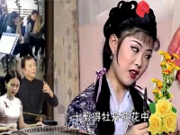 王文廣廬劇視頻大全(王文廣廬劇直播王文廣廬劇全集)