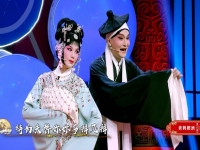湖北楚劇百日緣全集(湖北楚劇百日緣純伴奏視頻)