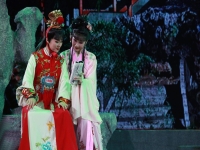 30集大型越劇紅樓夢(mèng)全集觀看(30集越劇紅樓夢(mèng)電視劇劇情簡(jiǎn)介)