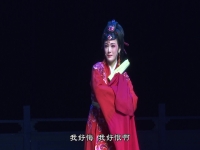 杭州金剛老師越劇(杭州電視臺(tái)金剛老師每次走掉那怎么辦)