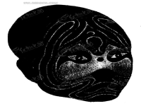 黑色京劇臉譜(黑色京劇臉譜一般表示)