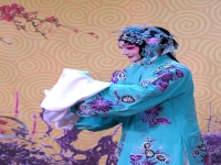 京劇青衣演員全部名單(京劇青衣演員全部名單介紹)