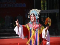 曲劇屬于哪個地方劇種(曲劇屬于哪個地方劇種類型)