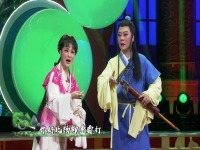 黃梅戲四郎探母全劇(黃梅戲四郎探母pps視頻)