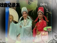 十八相送越劇唱詞(越劇十八相送完整版歌詞)