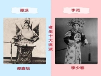 京劇中的生角(京劇中的生角指的是什么)