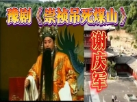 豫劇哭戲經典唱段(豫劇哭戲大全名稱選段)