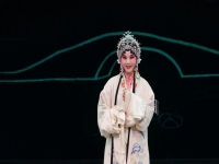 河南豫劇吳素珍(豫劇演員吳素珍介紹)