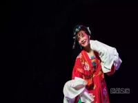 越劇梨花情劇情介紹(越劇梨花情劇情介紹分集)