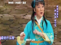 黃梅戲精彩唱段(黃梅戲精彩唱段集錦)