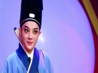 桑園訪妻越劇歌詞(越劇桑園訪妻發音方法)
