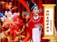 黃梅戲女駙馬下載(黃梅戲女駙馬在線聽(tīng))