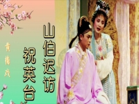 黃梅戲梁祝樓臺會(黃梅戲梁祝樓臺會全場)